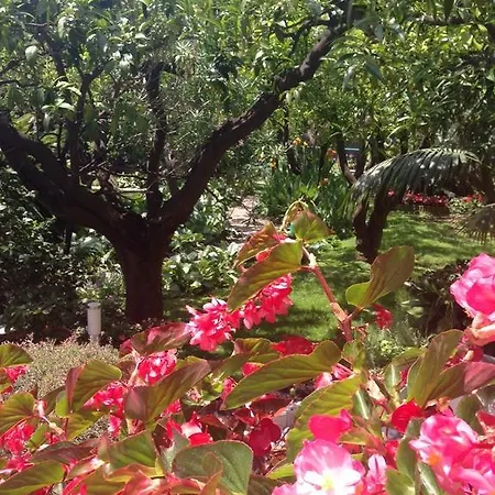 Bed & Breakfast Il Villino *